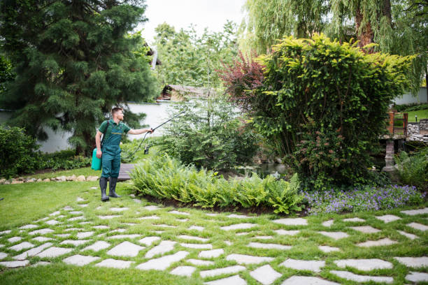 Best Local Pest Control Services  in Henderson, TX