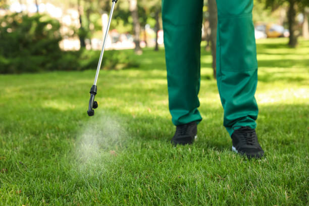 Bird Control in Henderson, TX