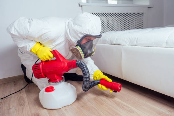  Henderson, TX Pest Control Pros