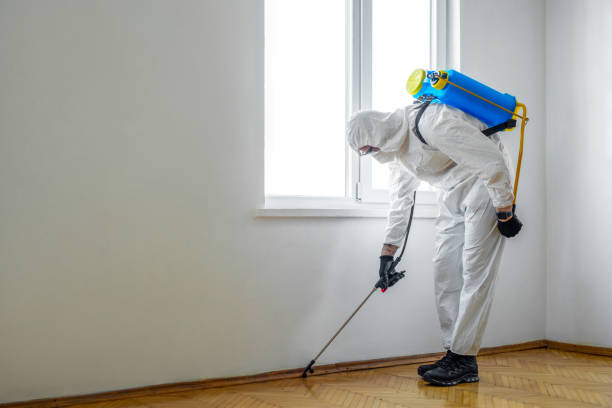 Best Commercial Pest Control Services  in Henderson, TX