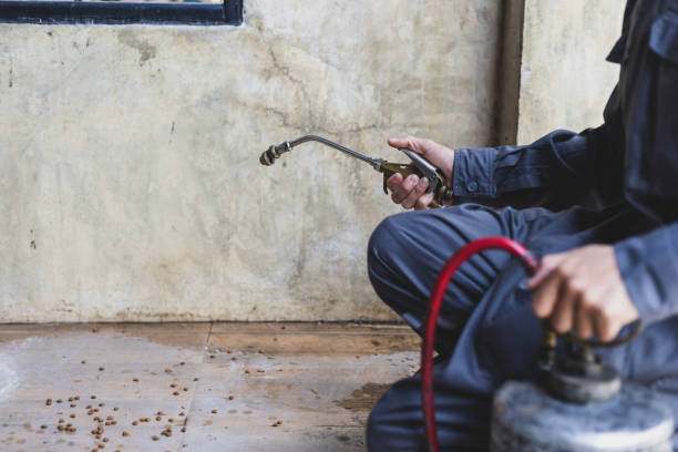 Best Mosquito Control Services  in Henderson, TX